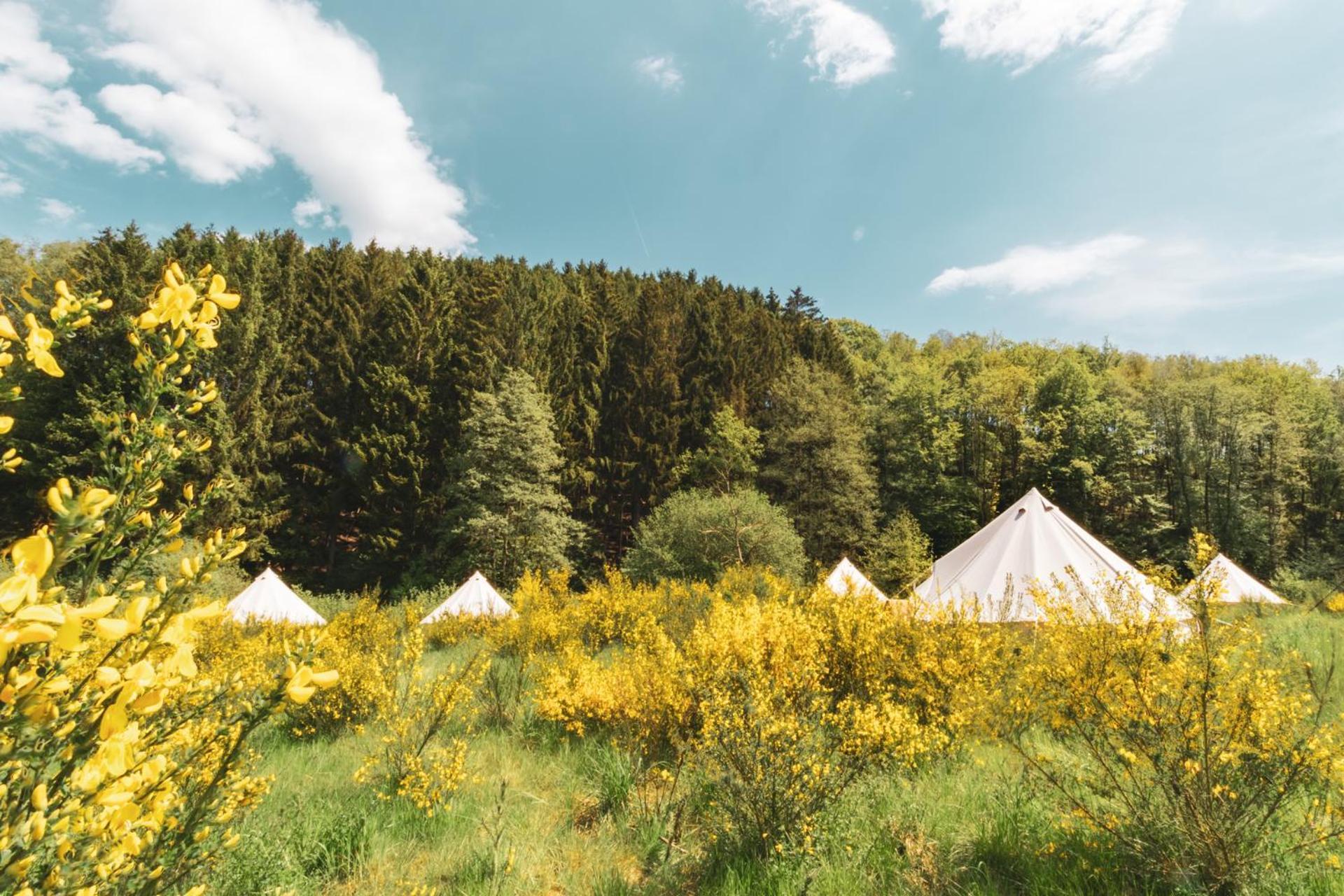מאלמדי Daft Hotel & Glamping מראה חיצוני תמונה