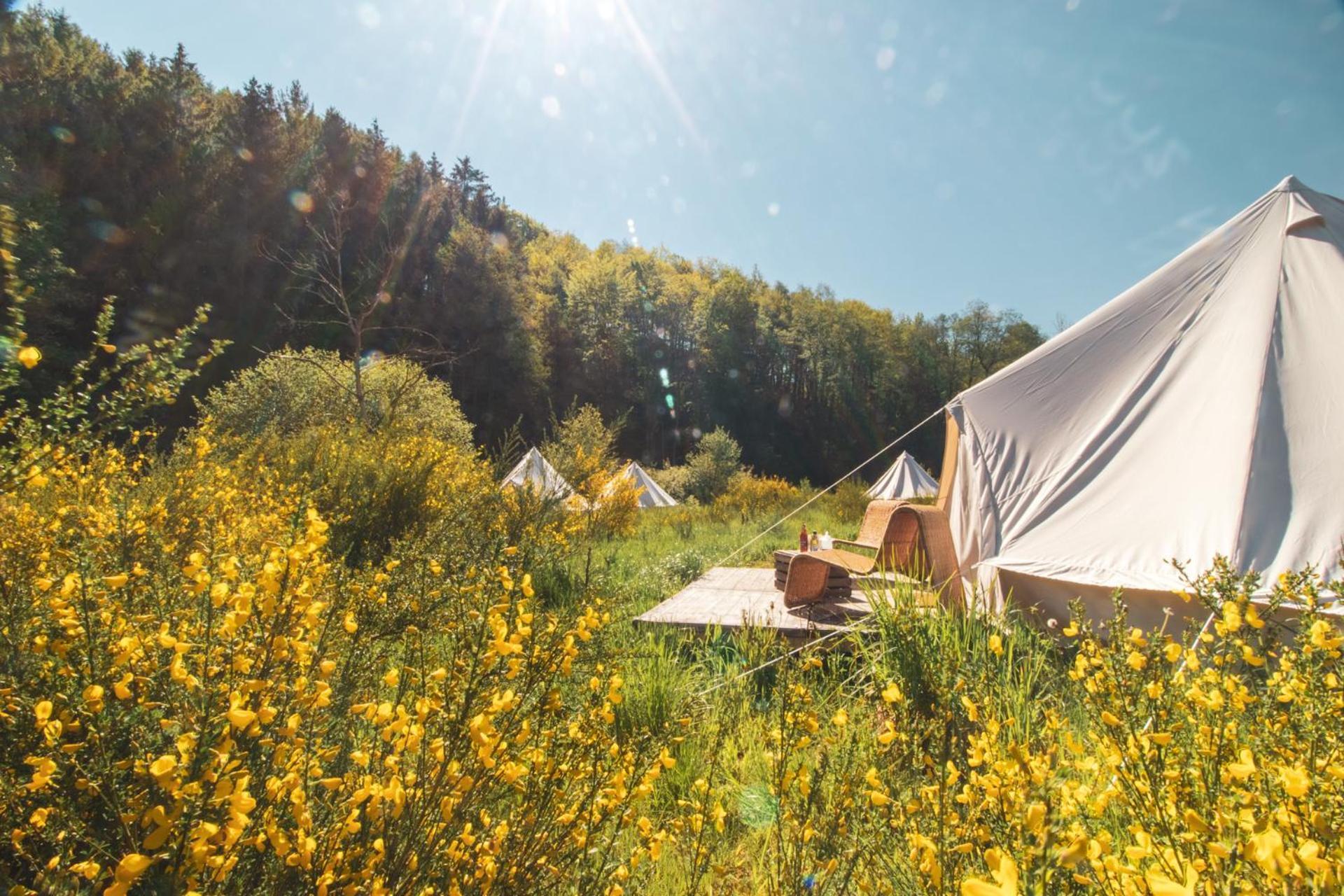 מאלמדי Daft Hotel & Glamping מראה חיצוני תמונה